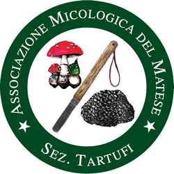 logo tartufai matese